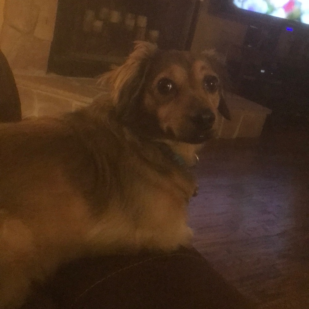 Meet your Posher, Max